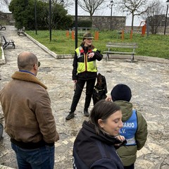 “Amico Brando”: a Minervino un’attività cinofila dimostrativa dedicata ai più piccoli