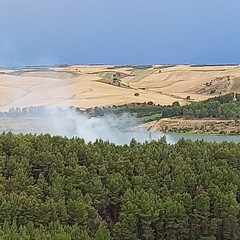 Minervino Murge, incendio al bosco Cornutiello