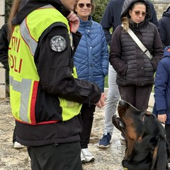 “Amico Brando”: a Minervino un’attività cinofila dimostrativa dedicata ai più piccoli
