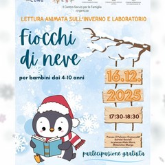 "Fiocchi di neve"