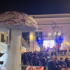 Minervino celebra il Fungo Cardoncello, Bevilacqua: «Simbolo di tradizioni, radici e territorio»