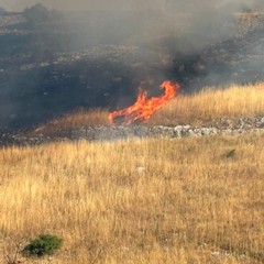 Vasto incendio nell'agro di Minervino