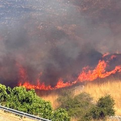 Vasto incendio nell'agro di Minervino