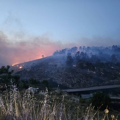 Incendio Minervino