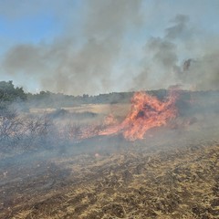 Incendio Minervino