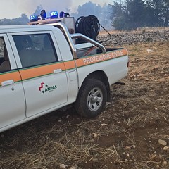 Incendio tra Minervino Murge e Andria
