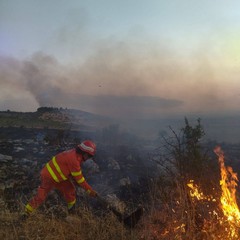 Incendio tra Minervino Murge e Andria