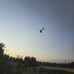 Incendio tra Minervino Murge e Andria