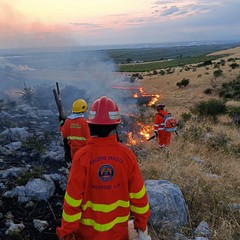 Incendio tra Minervino Murge e Andria