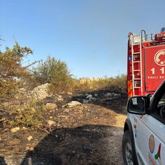 Incendio tra Minervino Murge e Andria