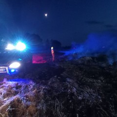 Incendio tra Minervino Murge e Andria