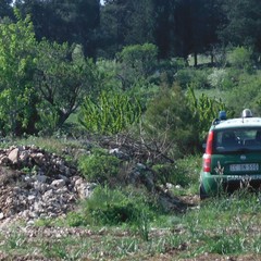 terreno sequestrato dai Carabinieri forestali