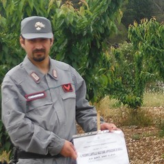 terreno sequestrato dai Carabinieri forestali