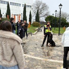 “Amico Brando”: a Minervino un’attività cinofila dimostrativa dedicata ai più piccoli