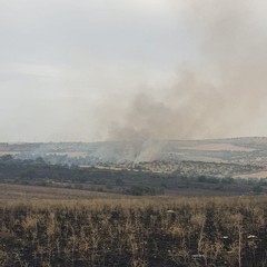 Vasto incendio tra Minervino Murge e Andria