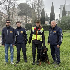 “Amico Brando”: a Minervino un’attività cinofila dimostrativa dedicata ai più piccoli
