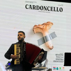 Minervino celebra il Fungo Cardoncello, Bevilacqua: «Simbolo di tradizioni, radici e territorio»