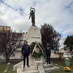 Giornata delle forze armate Minervino Murge