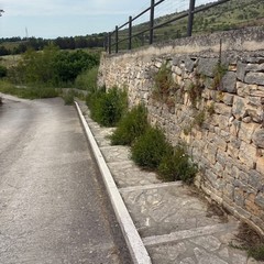 Il sentiero di Lama Matitani a Minervino ripulito dai volontari Lav