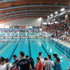 Campionati Nazionali di nuoto di categoria