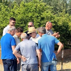 Danni alle colture agricole: questa mattina il sopralluogo a Minervino