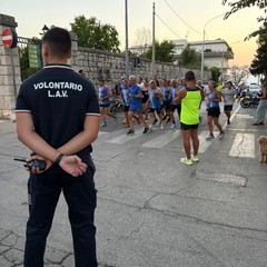 La Notte Bianca anima il centro storico di Minervino tra musica, arte e tradizione