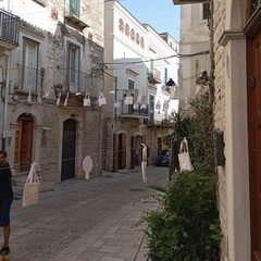 La Notte Bianca anima il centro storico di Minervino tra musica, arte e tradizione