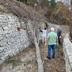 I volontari LAV rimuovono un albero spezzato sul sentiero Lama Matitani a Minervino