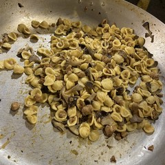 Minervino celebra la Sagra del fungo cardoncello: un trionfo di sapori autentici e tradizioni