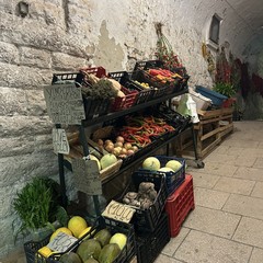 Minervino celebra la Sagra del fungo cardoncello: un trionfo di sapori autentici e tradizioni