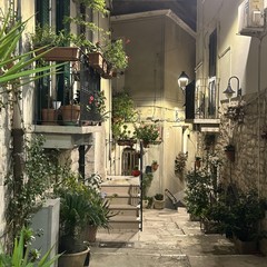 Minervino celebra la Sagra del fungo cardoncello: un trionfo di sapori autentici e tradizioni