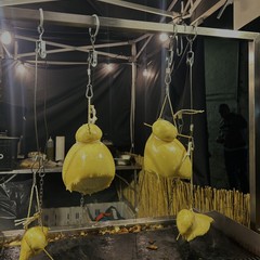 Minervino celebra la Sagra del fungo cardoncello: un trionfo di sapori autentici e tradizioni