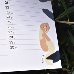 Un calendario solidale per offrire cure e affetto a “I Randagi di Minervino”