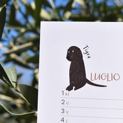 Un calendario solidale per offrire cure e affetto a “I Randagi di Minervino”