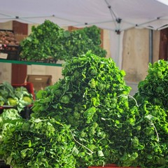 Identità ed eccellenze culinarie: successo a Minervino per la Sagra della Cima di Rapa