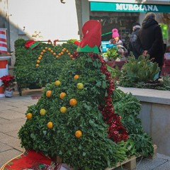 Identità ed eccellenze culinarie: successo a Minervino per la Sagra della Cima di Rapa