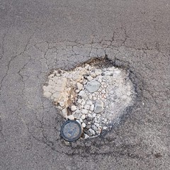 Buche a Minervino: i volontari LAV chiedono un intervento tempestivo