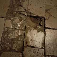 Buche a Minervino: i volontari LAV chiedono un intervento tempestivo