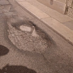 Buche a Minervino: i volontari LAV chiedono un intervento tempestivo