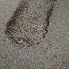 Buche a Minervino: i volontari LAV chiedono un intervento tempestivo