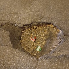 Buche a Minervino: i volontari LAV chiedono un intervento tempestivo