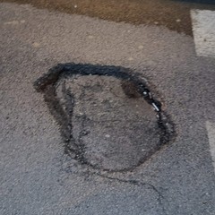 Buche a Minervino: i volontari LAV chiedono un intervento tempestivo