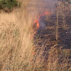 incendio Coleti