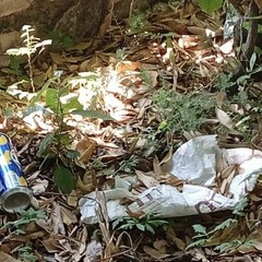 I piccoli volontari di “Lav Junior” in azione a Minervino per la salvaguardia e il rispetto del territorio