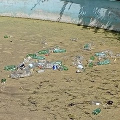 I piccoli volontari di “Lav Junior” in azione a Minervino per la salvaguardia e il rispetto del territorio
