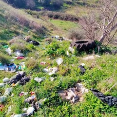 Rifiuti a Minervino