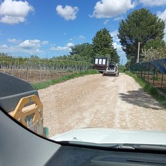 Masseria San Vittore