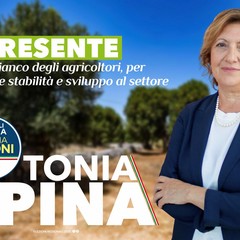 tonia spina