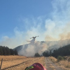 Fiamme sull’Alta Murgia, 500 ettari bruciati: Vigili del Fuoco al lavoro da ore