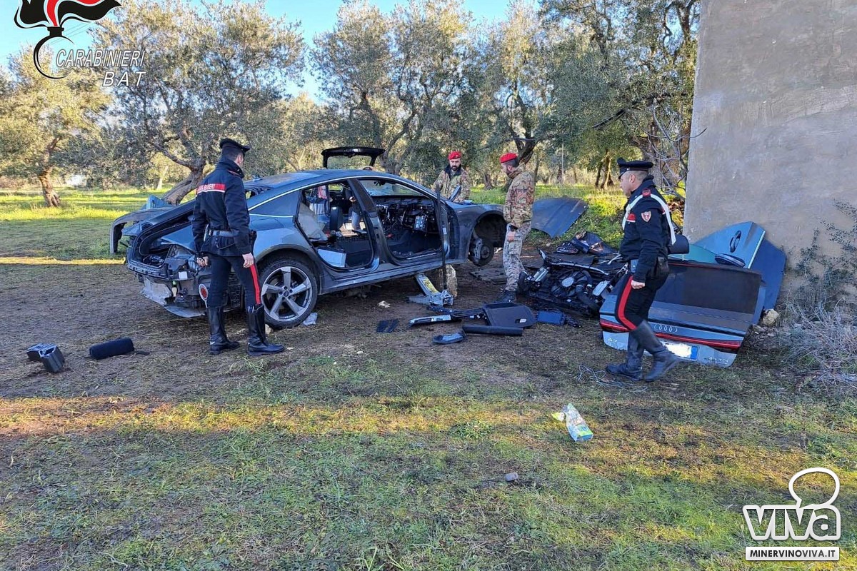 Minervino Murge, la carcassa dell'auto ritrovata dai carabinieri